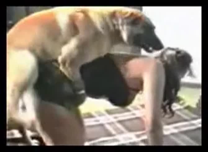 Video :Beastie gal bends over her ass to get smashed by dog